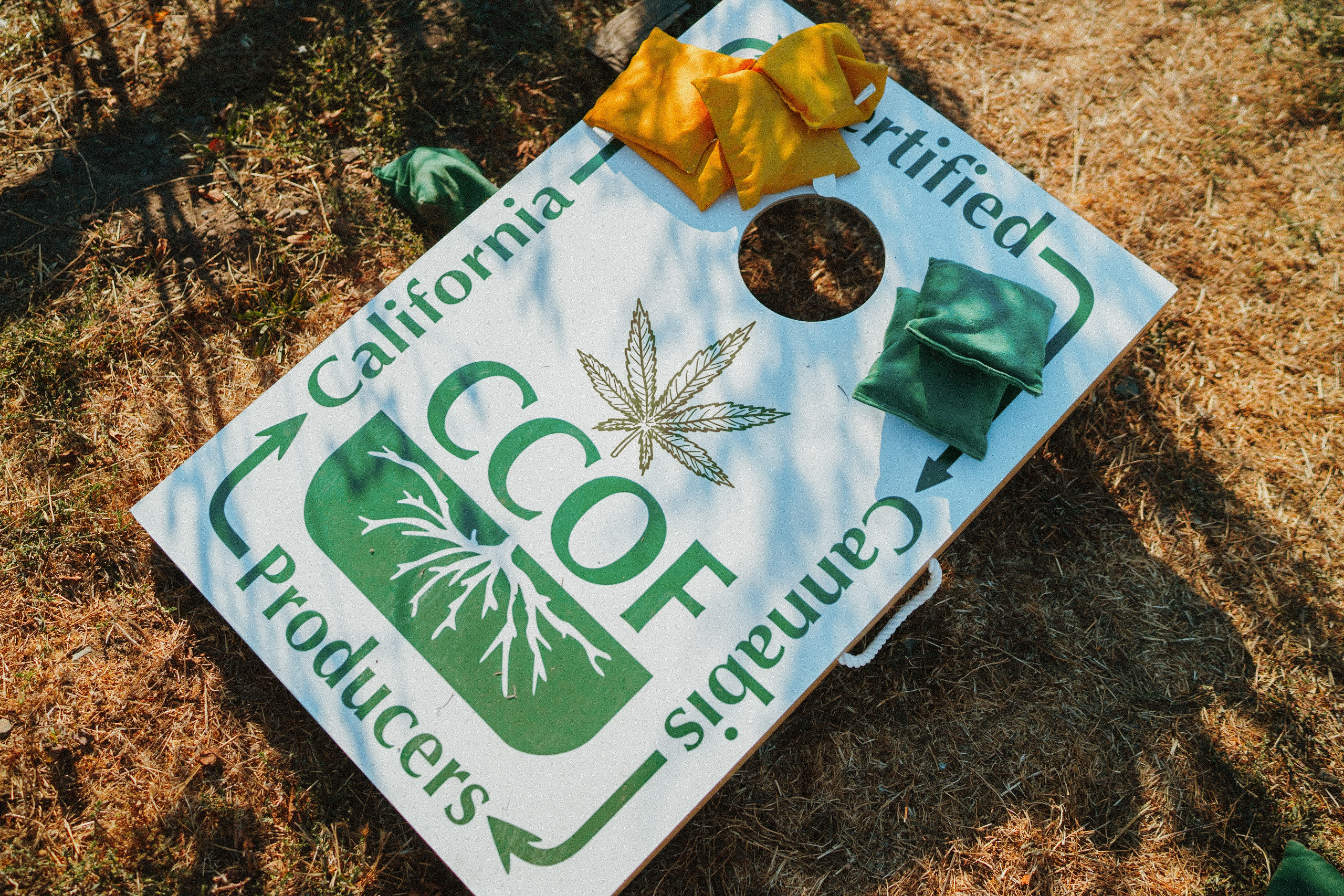 CCOF Certified Cannabis Producers cornhole boards