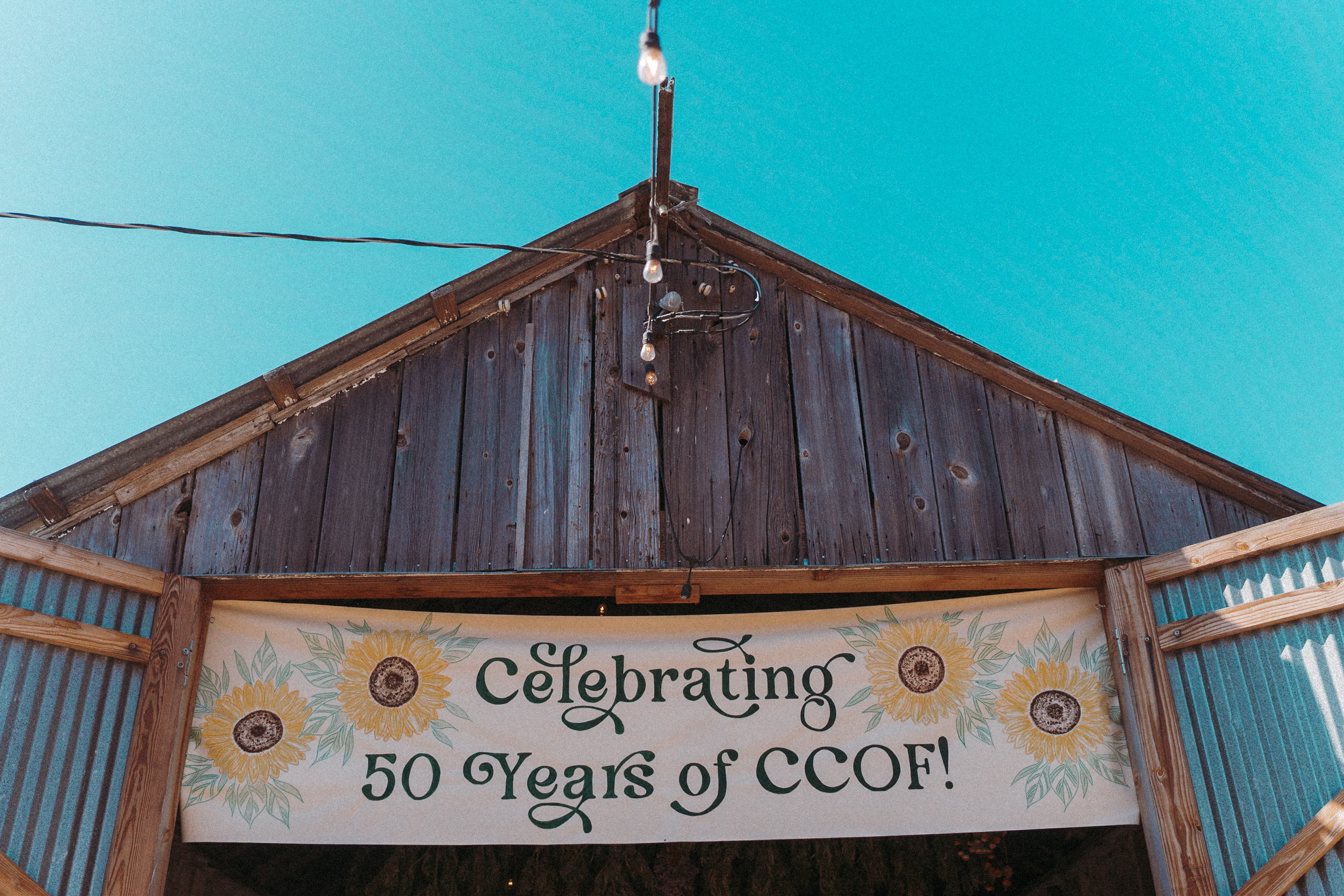 Celebrating 50 Years of CCOF banner at Sonoma Hills Farm