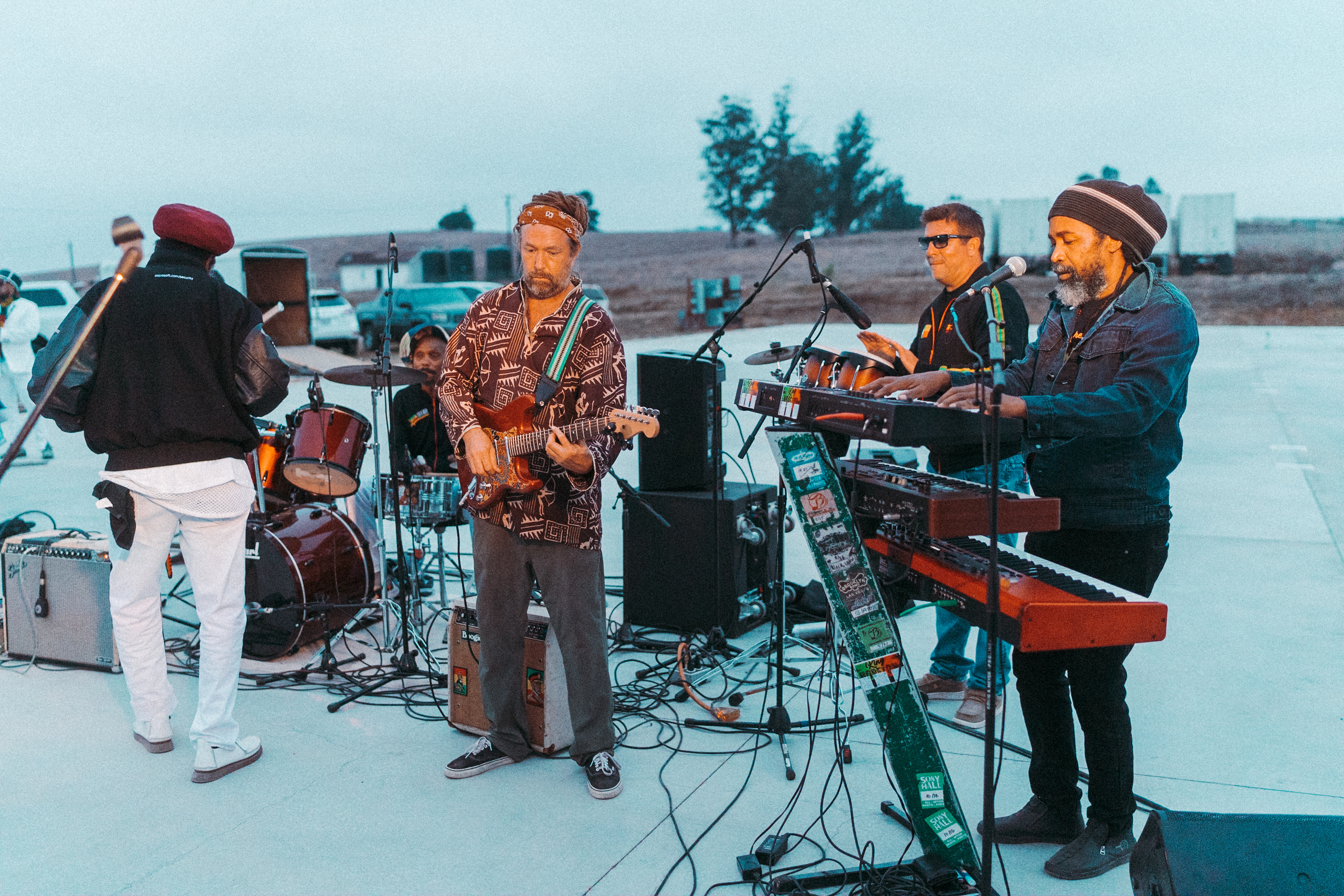 OCal certified cannabis plants at Sonoma Hills Farm