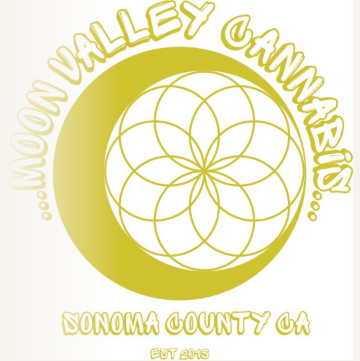 A Golden Hour Collective