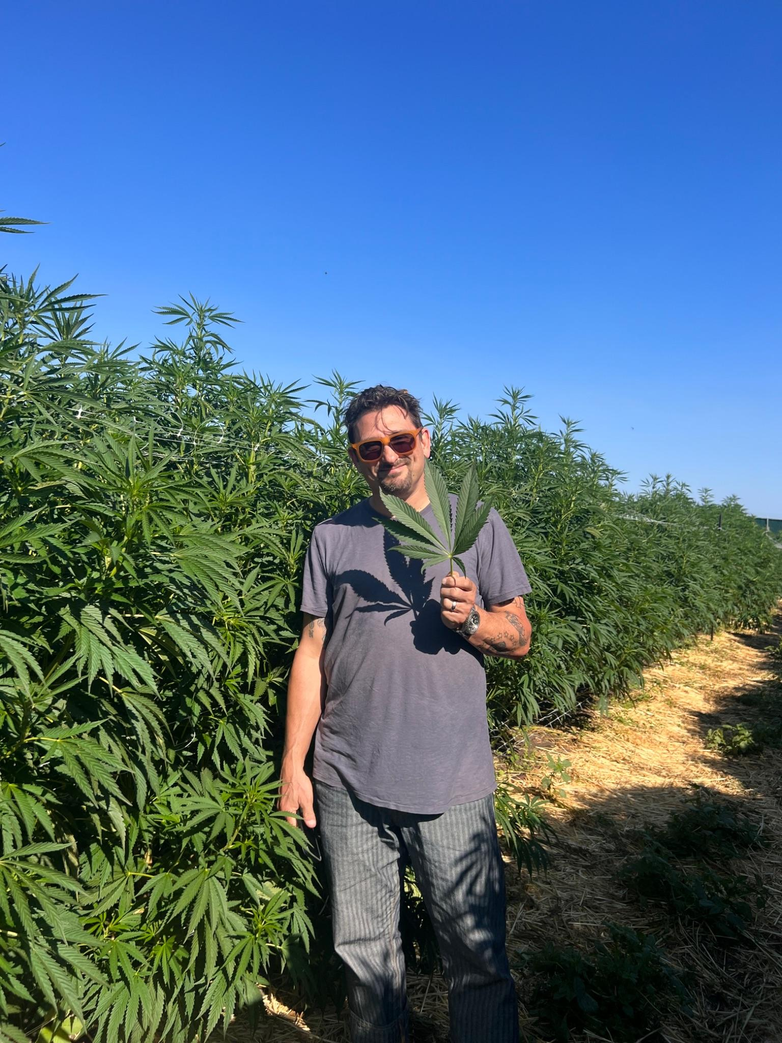 Chef Chris Cosentino in the cannabis fields at Sonoma Hills Farm