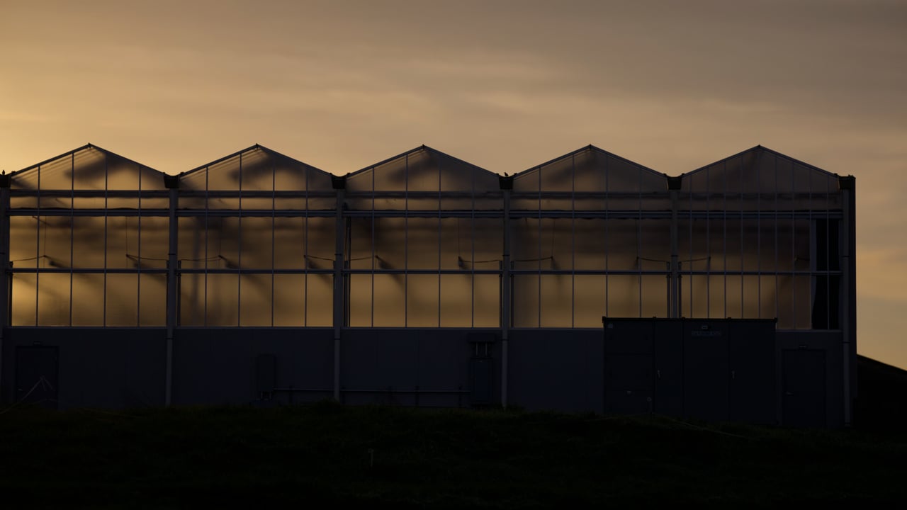 SHF Sun-Assisted Indoor