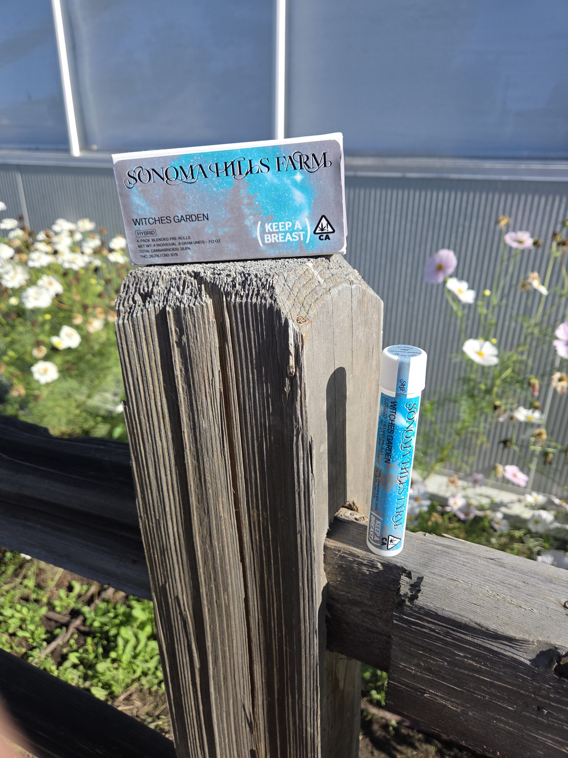 SHF Sun-Assisted Indoor