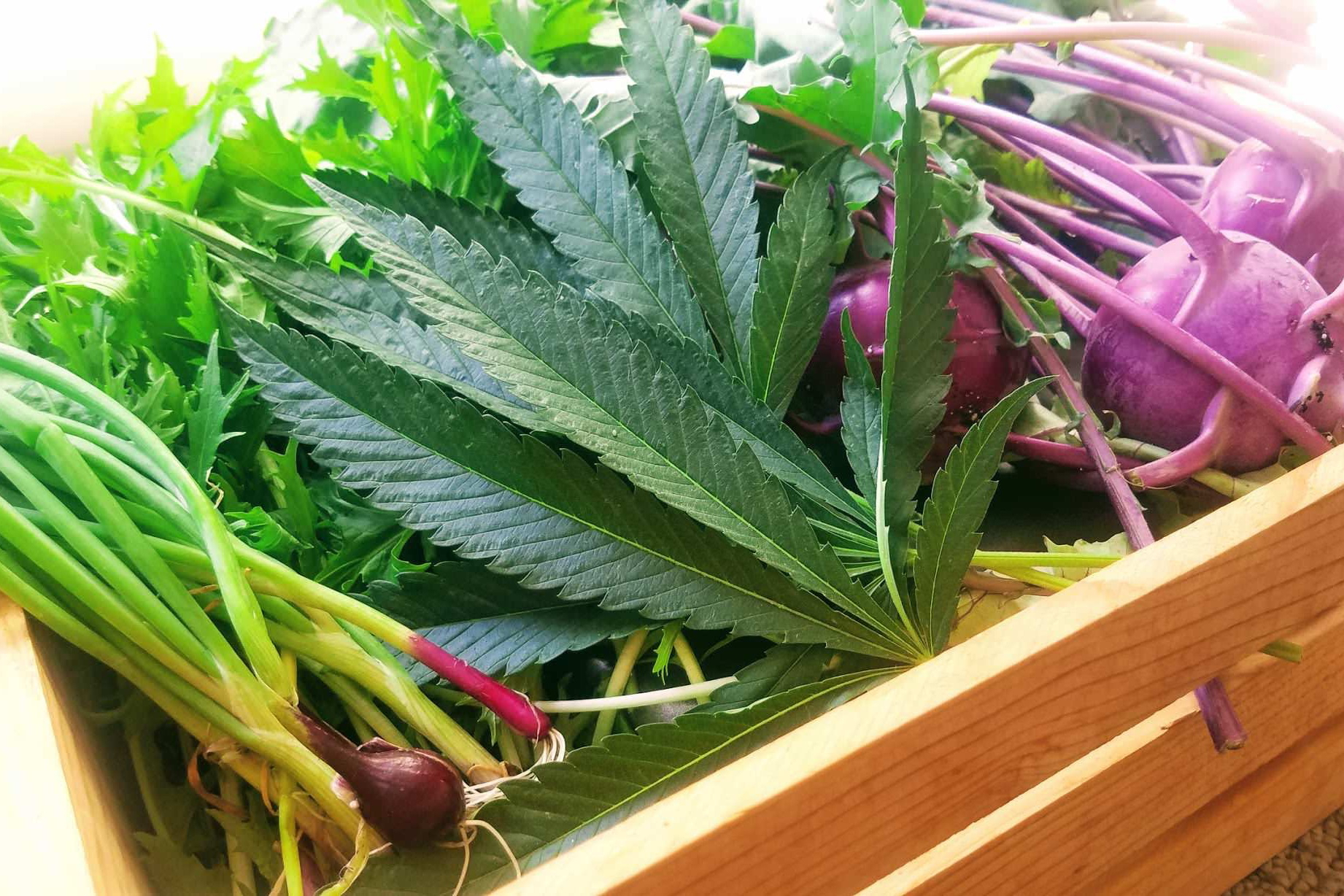 Cut fan leaves in a wooden harvest crate beside garden vegetables